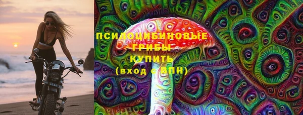 стафф Богородицк